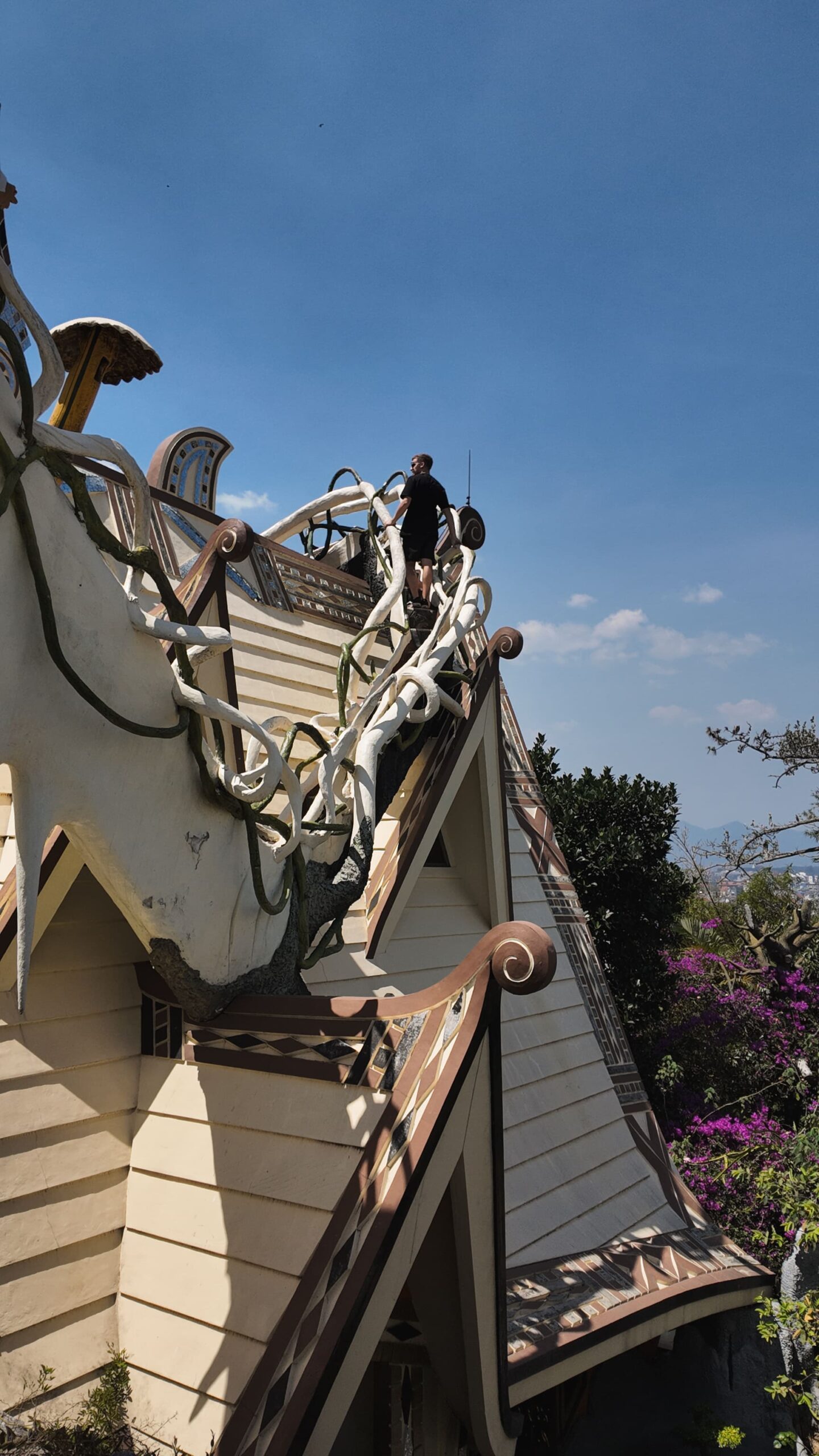 Crazy House